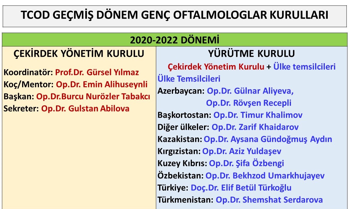 2022yürütme kurulu